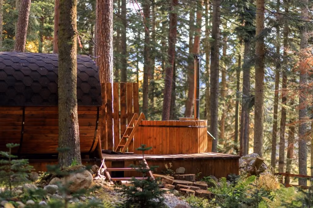 Moss & Fern Cabin view 1